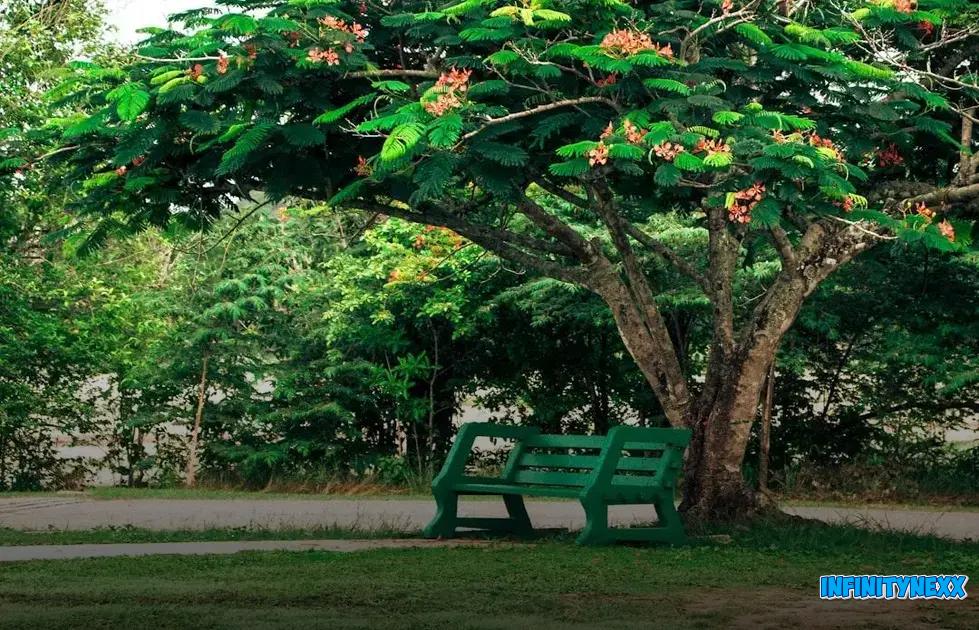 Tracking Your Progress and Adjusting Plans